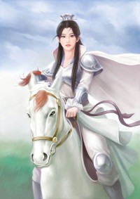 华京迷案录（探案）