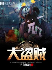 網遊之大盜賊