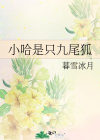 小哈是只九尾狐